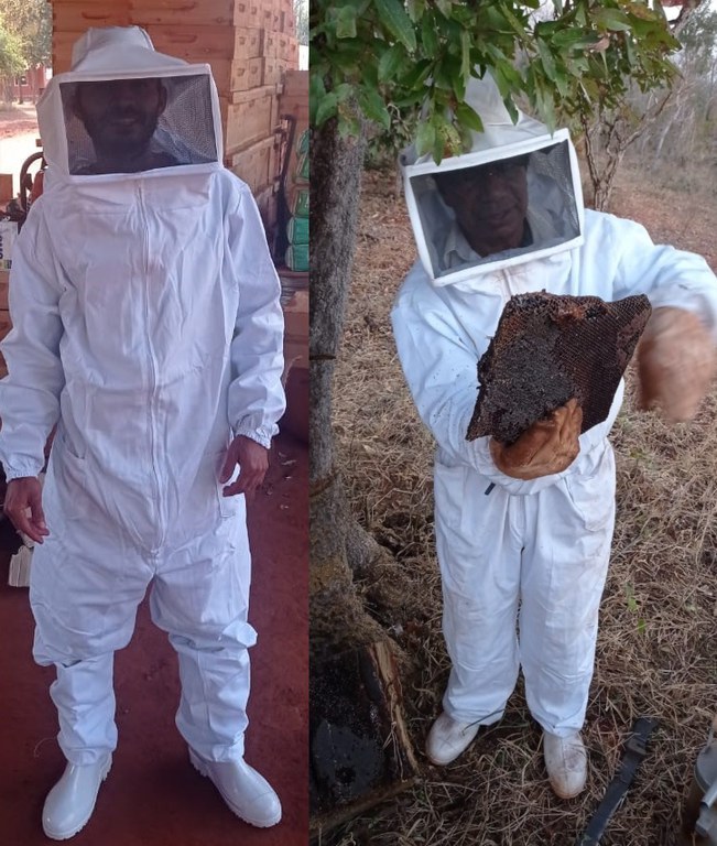 cr campo grande apicultura - CAPA ed.jpg