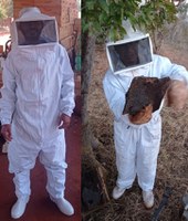 Com apoio da Funai, etnia Ofaié consolida projeto de apicultura no Mato Grosso do Sul