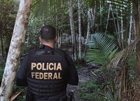Com participação da Funai, PF realiza operação contra tráfico de drogas em Terra Indígena