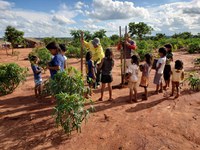 Edital seleciona projetos desenvolvidos por Brigadas Federais Indígenas para recuperação de áreas degradadas