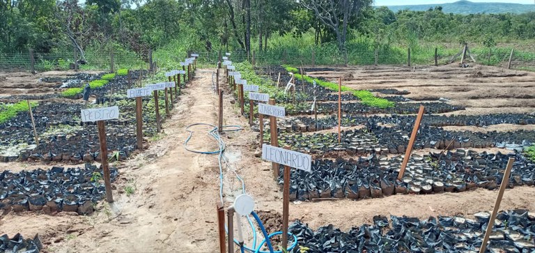 cr.cascalheira _ b.jpeg