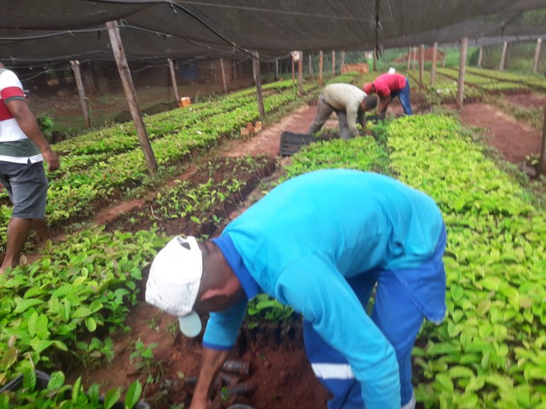 WhatsApp Image 2021-03-01 at 16.36.08.jpeg