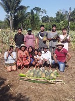 Funai apoia plantio de abacaxi e cana-de-açúcar em comunidade indígena do Mato Grosso
