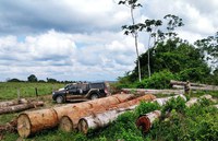 Funai e Polícia Federal deflagram operação conjunta para combater crimes ambientais em Terras Indígenas no Maranhão