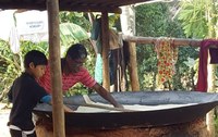 Funai incentiva produção de farinha de mandioca em aldeias de Minas Gerais e Espírito Santo