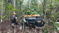 Funai participa de ação conjunta de combate a garimpos ilegais em Terra Indígena do Mato Grosso