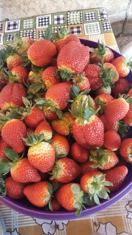 WhatsApp Image 2021-07-08 at 09.38.38.jpeg