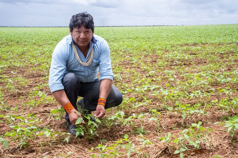 AreaAgricolaParesi-Foto_MarioVilela-Funai (24).jpg