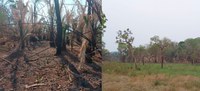 Unidade da Funai em Campo Grande (MS) realiza ações de prevenção a incêndios em Terras Indígenas