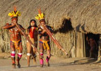Conheça a diversidade dos instrumentos musicais da cultura indígena