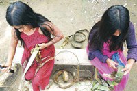 Em Minas Gerais, uso da fibra da embaúba faz parte da cultura de indígenas Maxakali