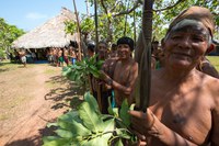 Balanço 2021: Funai avança no licenciamento de grandes obras, com a devida compensação aos indígenas