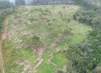 Com apoio da Funai, Operação Guardiões do Bioma combate desmatamento Ilegal no país