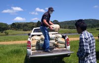 Funai distribui 5,2 mil cestas básicas para famílias indígenas da Região Sul