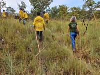 Funai e Ibama promovem curso de brigadista para indígenas no Tocantins