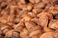 Funai realiza transporte de nova remessa de castanha-da-Amazônia para cooperativa indígena em Rondônia