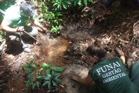 No Maranhão, Funai promove oficina de proteção e gestão ambiental para indígenas