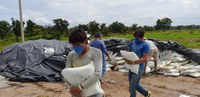 No Mato Grosso, Funai apoia plantio mecanizado de arroz por indígenas da etnia Xavante