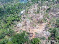 Operação Escudo de Palha investiga desmatamento ilegal em Terra Indígena do Mato Grosso