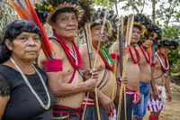Série especial: Com apoio da Funai, etnodesenvolvimento fortalece tradição cultural da etnia Paiter-Suruí em Rondônia