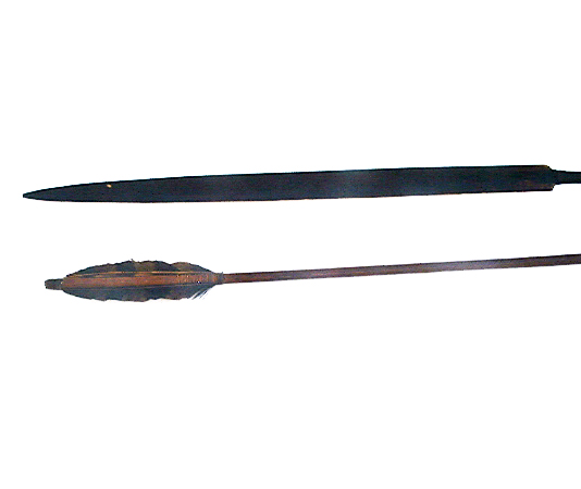 C1479.jpg