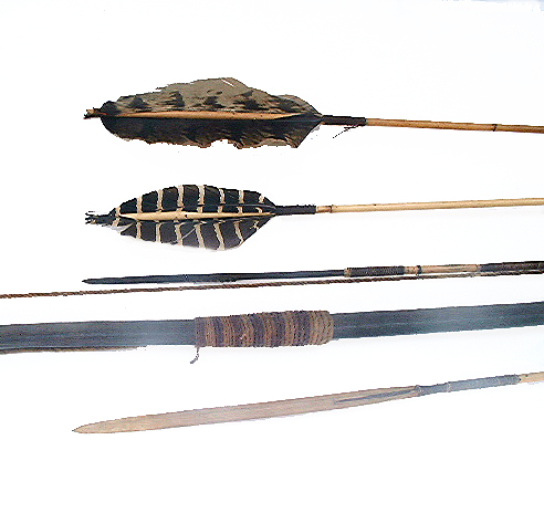C1485.jpg