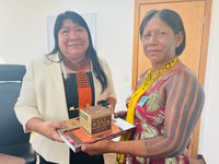 Em Brasília, Joenia Wapichana recebe Instituto Kabu