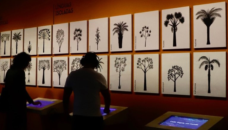 Museu do Índio - línguas indígenas 2 ED.jpg