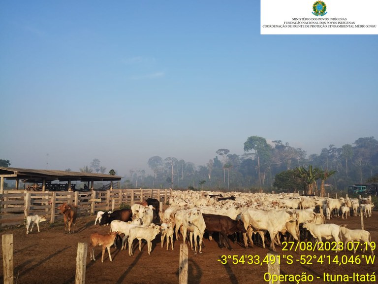 WhatsApp Image 2023-08-29 at 11.25.28.jpeg