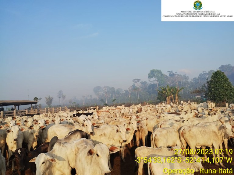 WhatsApp Image 2023-08-29 at 11.25.29 (1).jpeg