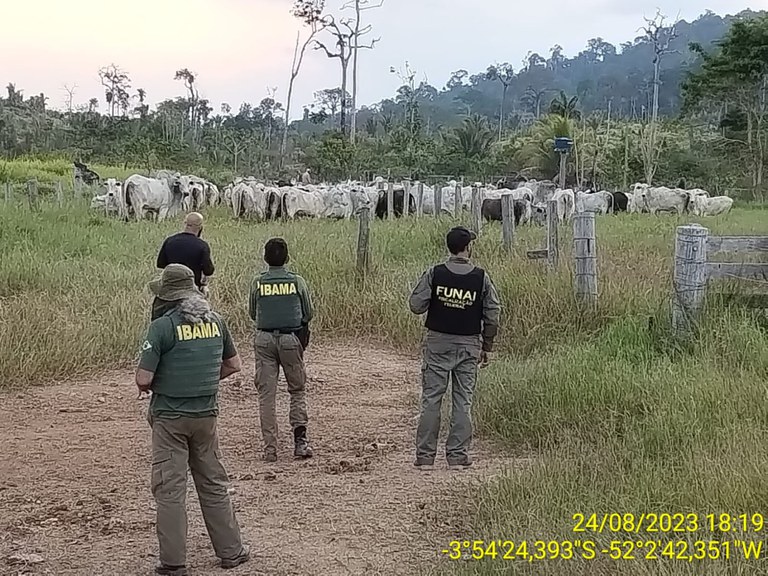 WhatsApp Image 2023-08-29 at 11.25.35.jpeg