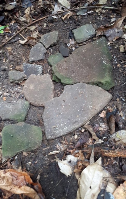 WhatsApp Image 2023-08-29 at 11.26.19.jpeg