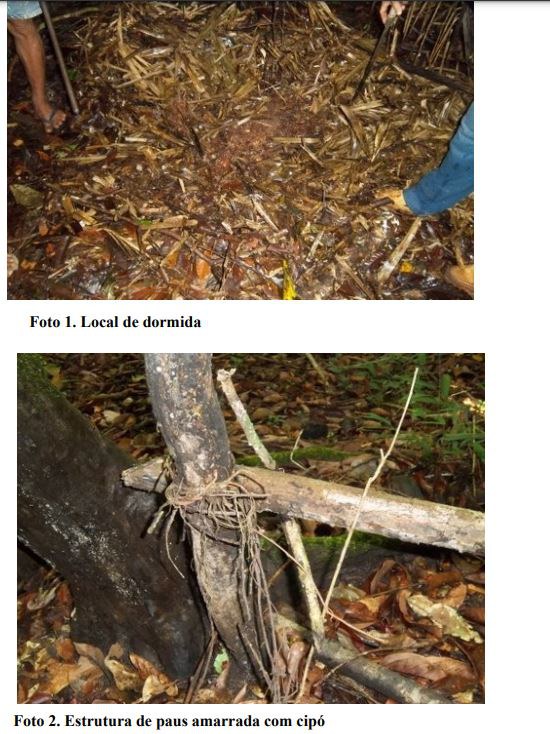 WhatsApp Image 2023-08-29 at 11.27.01.jpeg