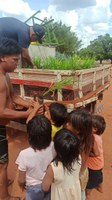 Funai desenvolve ações para promover a segurança alimentar, conservação ambiental e fortalecimento cultural do Povo Xavante