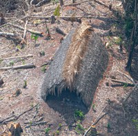 Funai monitora povos em isolamento voluntário no Acre