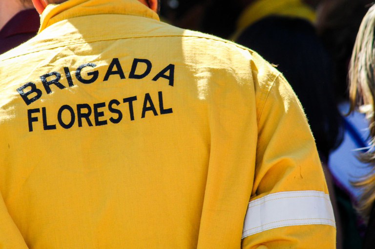 WhatsApp Image 2023-05-25 at 12.42.16.jpeg