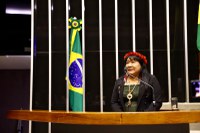 Funai participa de sessão solene na Câmara em homenagem à III Marcha das Mulheres Indígenas