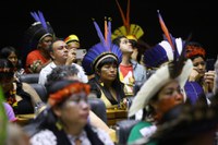 Funai participa de sessão solene no Congresso em homenagem à 19ª Edição do Acampamento Terra Livre