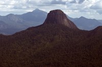 Governo Federal estabelece procedimentos de acesso à Terra Indígena Yanomami durante emergência de saúde