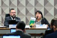 Marco temporal viola cláusulas pétreas da Constituição, denuncia presidente da Funai em audiência pública no Senado