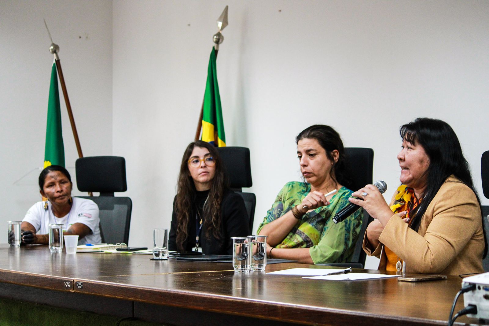 Reunião _ Parakanã _ 3.jpeg