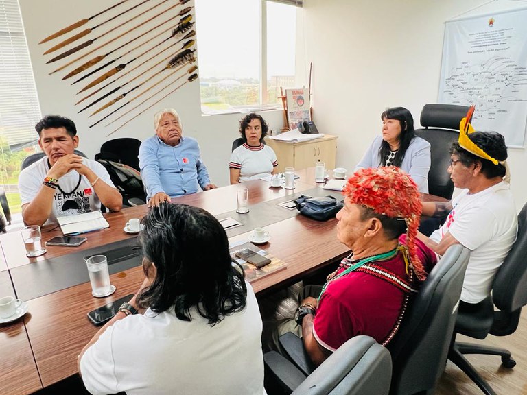 Reunião com lideranças Yanomami, Munduruku e Kayapó. Foto Debora Schuch (5).jpeg