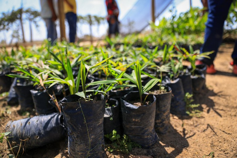 WhatsApp Image 2023-10-02 at 11.15.39 (2).jpeg