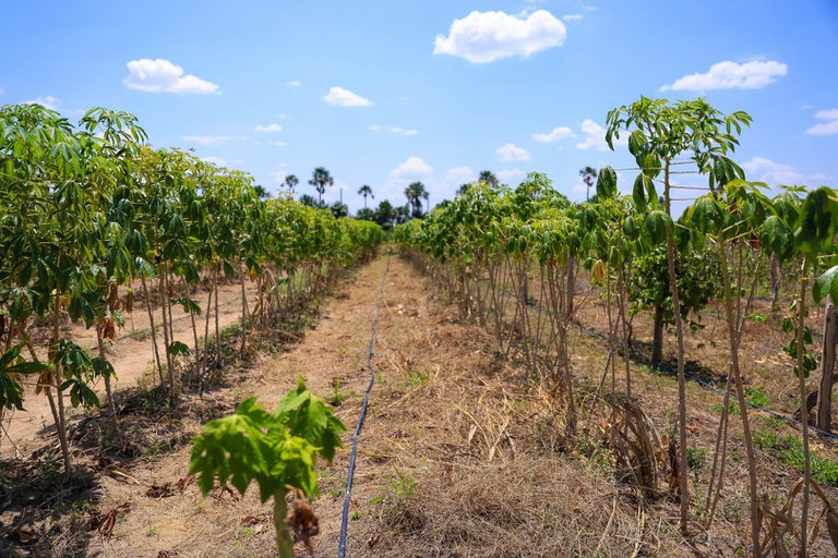 WhatsApp Image 2023-10-02 at 11.15.41.jpeg