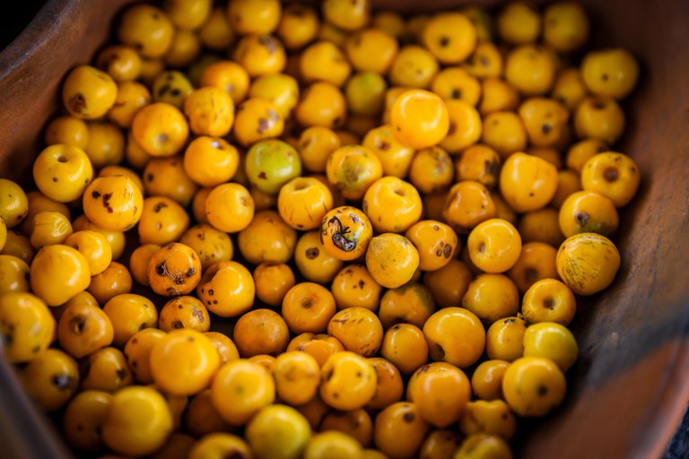 WhatsApp Image 2023-10-02 at 11.15.42 (1).jpeg