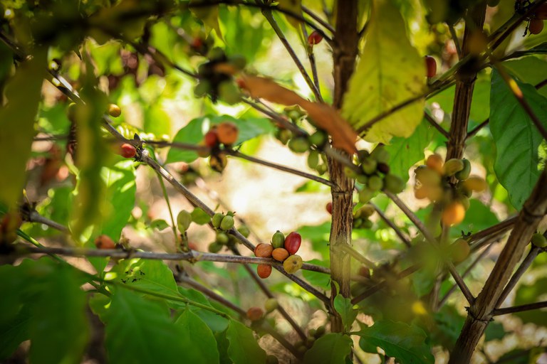 WhatsApp Image 2023-10-02 at 11.15.43.jpeg