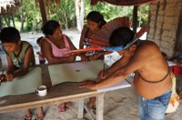 Terra Indígena Sawre Ba’pim – confira a história de identificação e delimitação do território