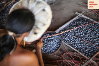 Abril Indígena: Funai orienta e executa ações nas comunidades para promover a geração de renda e a autonomia indígena