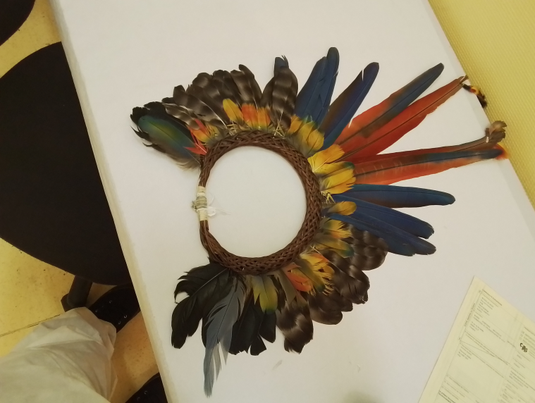 Foto Museu do Índio (1).png