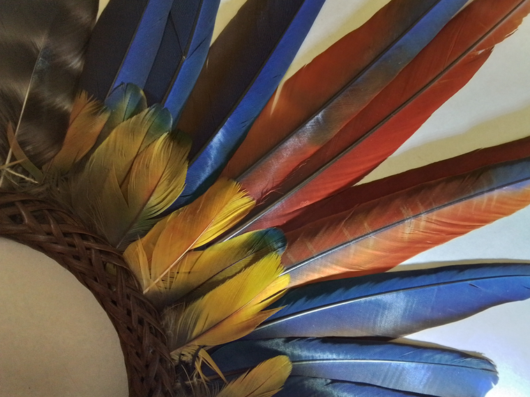 Foto Museu do Índio (2).png